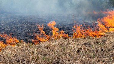 İlkbaharda kuru otları yakmak, kuru otları yakmaktan dolayı hava kirliliği