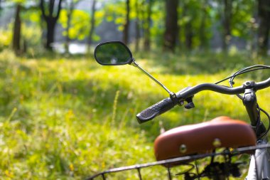 Bisikletin bir parçası ormandaki ağaçların arka planında, doğada bisiklet sürüyor.