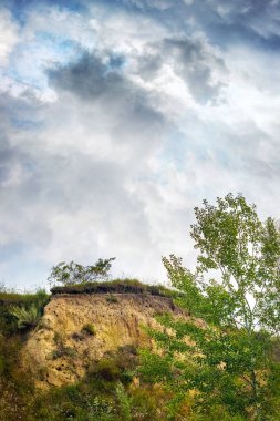 Ağaçlar ve çalılarla çevrili bir kayanın olduğu yaz manzarası beyaz bulutlu mavi bir gökyüzüne karşı.