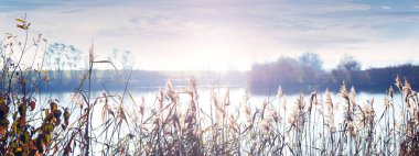 Suyun üzerinde parlak güneş ön planda huzurlu doğal manzara yumuşak yansımalar