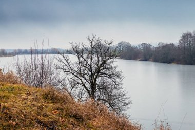 Sonbahar nehri manzarası sakin su arkadaki ağaçları bulanıklaştırıyor çalılar barışçıl doğal güzellik atmosferini kıyıya vuruyor