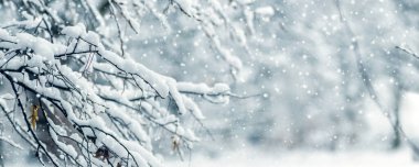 Noel manzarası: ön planda karla kaplı ağaçlar, kar örtüleriyle kaplı, neşeli bir atmosfer yaratıyor