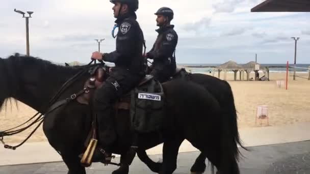 Tel Aviv Yafo Nov 2022 Двоє Ізраїльських Кінних Поліцейських Патрулюють — стокове відео