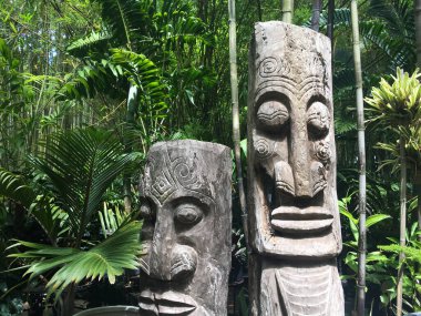 Eski bir Pasifik adası yağmur ormanlarında ahşap kavisli totem heykelleri.