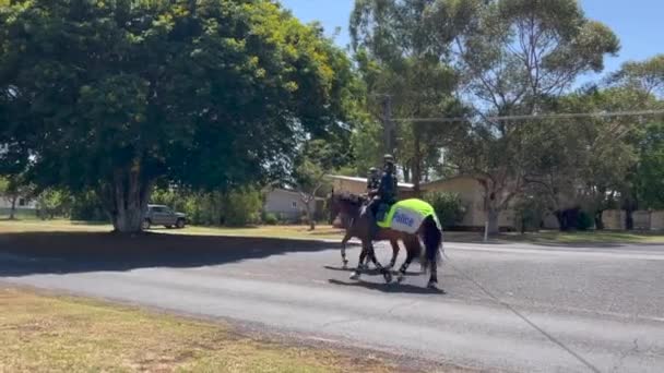 Chinchilla Qld Feb 2023 Australijska Policjantka Jeździ Policyjnym Koniu Ulicą — Wideo stockowe
