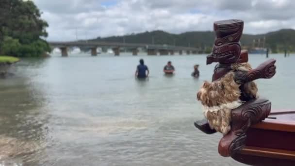 Waitangi Nzl Feb 2023 Group Young Maori Women Swim Traditional — Stock Video
