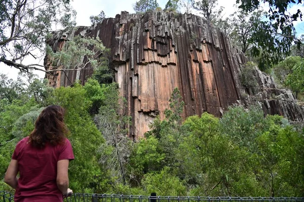 オーストラリアのニューサウスウェールズ州のナラブリ町の近くに位置する オルガン配管 と呼ばれる岩の形成の最良の例の1つであるサンロックを見ている女性の後部ビュー — ストック写真