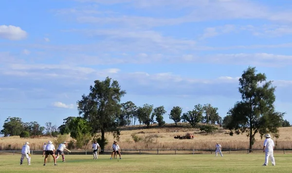 澳大利亚 澳大利亚男子在当地公园打板球 板球是澳大利亚在国际 国内和地方各级最受欢迎的夏季体育运动 — 图库照片
