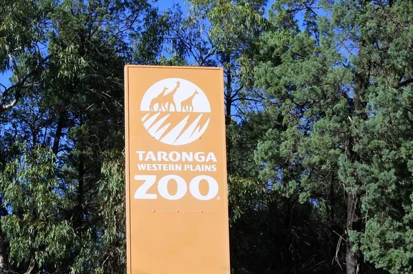Dubbo Nsw Mar 2023 Taronga Western Plains Zoo Een Open — Stockfoto