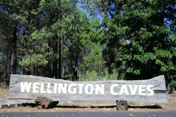 Wellington Nsw Mar 2023 Panneau Routier Des Grottes Wellington Près — Photo