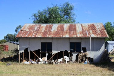ForBS, NSW - MAR 12 2023: Yeni Güney Galler, Avustralya 'daki bir sel yüzünden yok edilen çiftlik evi. Avustralya' daki bazı akarsular büyük can kayıplarına yol açtı, diğerleri evleri ve altyapıyı harap etti.