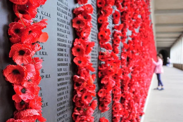 Canberra Act Mar 2023 Coquelicots Rouges Monument Commémoratif Guerre Australie — Photo