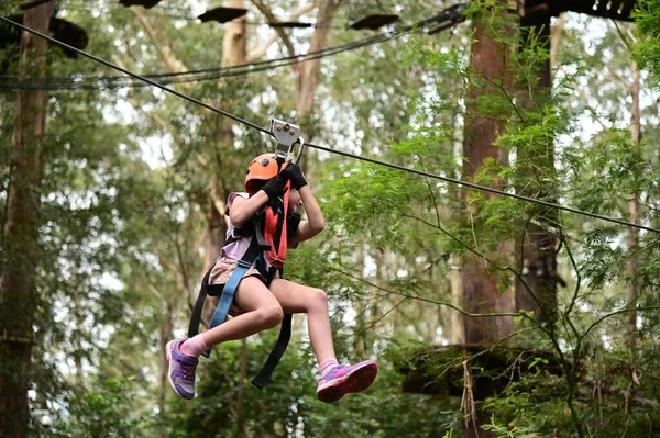 小女孩 08岁 在爬树时 在飞狐拉链上滑行 女童的权力 风险和挑战概念 真正的人复制空间 — 图库照片