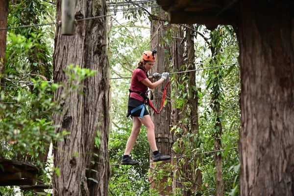 成年女子 40岁 在树梢探险攀登时 在狭窄的缆绳上行走 女童的权力 风险和挑战概念 真正的人复制空间 — 图库照片