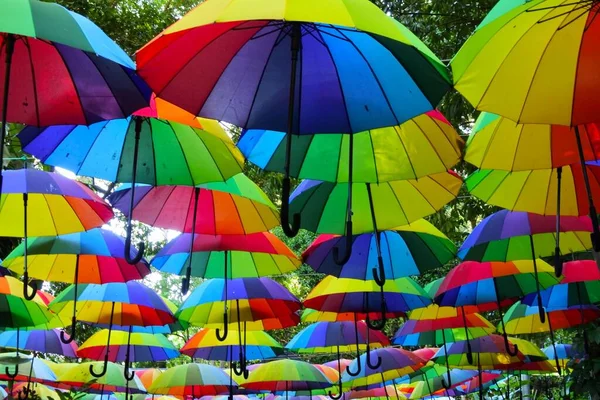 许多色彩斑斓的雨伞挂在树上 背景和质地都很抽象 — 图库照片