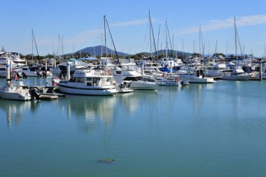 YEPPOON, QLD - MAR 05 2023: deniz kaplumbağası Yeppoon Marina 'da yüzüyor. Oğlak Bölgesi 'nin başkenti olarak bilinen ve Keppel Adası Grubu ve Güney Büyük Set Resifi' ne açılan kapı..