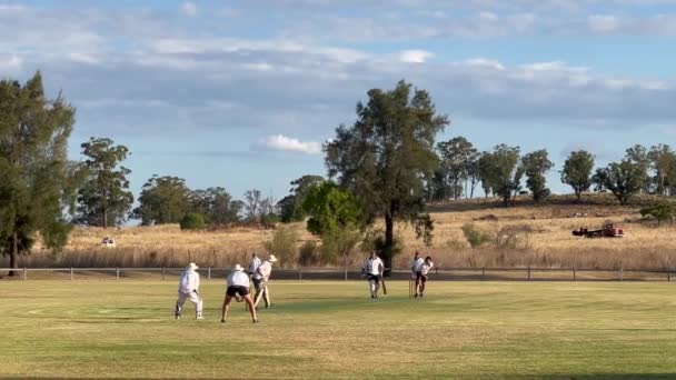 Felismerhetetlen Ausztrál Férfiak Kriketteznek Helyi Parkban Krikett Legnépszerűbb Nyári Sport — Stock videók