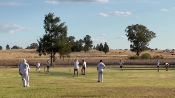 Hombres Australianos Irreconocibles Jugando Cricket Parque Local Cricket Deporte Verano — Vídeos de Stock
