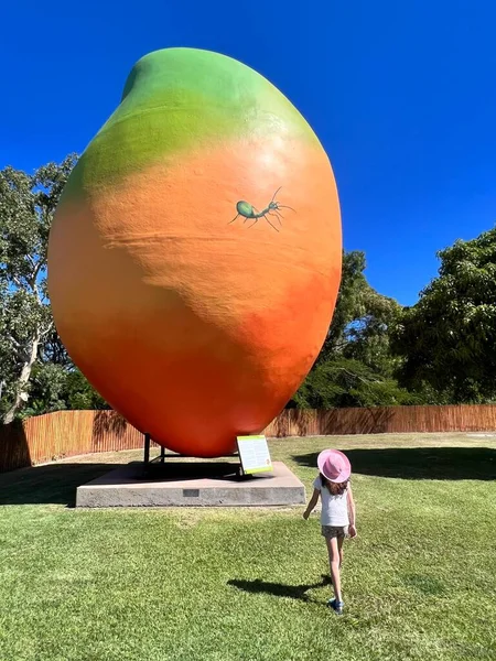 Bowen Qld May 2023 Big Mango Bowen Queensland Australia Стоїть — стокове фото