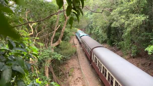 Kuranda Scenic Railway Ein Touristischer Eisenbahndienst Der Entlang Der Denkmalgeschützten — Stockvideo