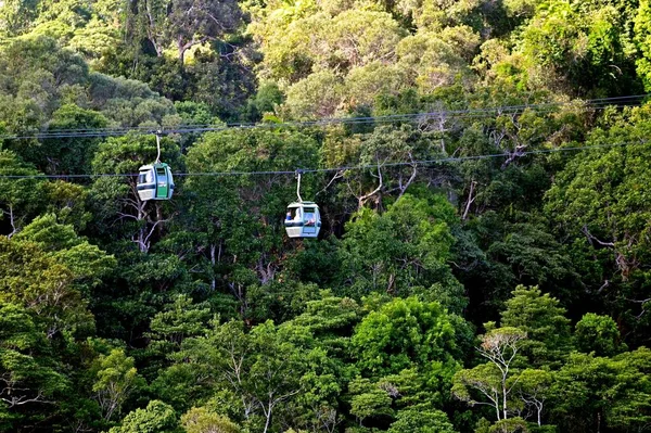 Kuranda Qld May 2023 Skyrail Rainforest Cableway 澳大利亚昆士兰州世界遗产地区湿热热带地区Barron Gorge国家公园上方的一条7 5公里长的旅游电缆 — 图库照片