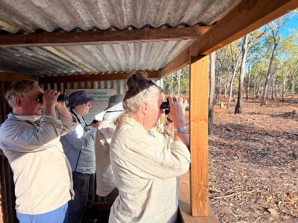 Cape York Qld Junho 2023 Grupo Observadores Aves Australianos Observando — Fotografia de Stock