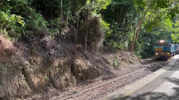 Crains May 2023 Kuranda Scenic Railway Tourist Railway Service Operates — Stock Video