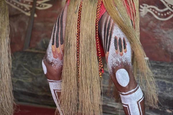 カプセル ヨーク Qld 2023年5月23日 オーストラリアのアボリジニの男性が踊る儀式 ほとんどの儀式は ダンス そしてしばしば体の装飾と衣装を組み合わせています — ストック写真