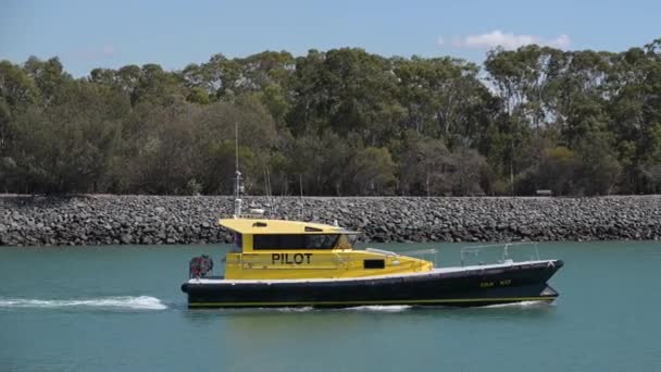 Gladstone Qld Aug 2023 Lotsbåt Hamnen Gladstone Queensland Australien Båt — Stockvideo