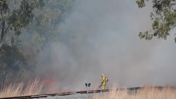 Gladstone Qld Août 2023 Les Pompiers Australiens Combattent Feu Brousse — Video