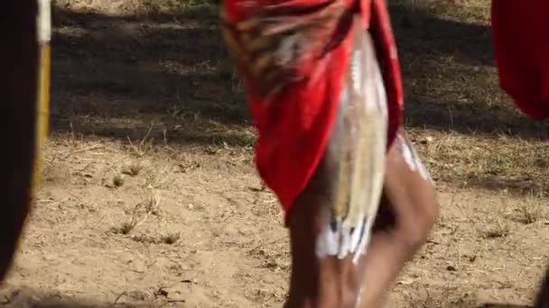 Laura Qld Červen 2023 Aboriginal People Ceremonial Dance Laura Quinkan — Stock video