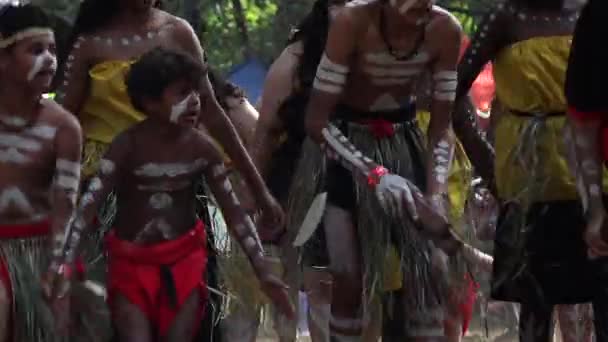 Laura Qld July 2023 澳大利亚昆士兰州约克角的劳拉 昆肯舞蹈节上的原住民舞蹈仪式 仪式结合了舞蹈 身体装饰和服装 — 图库视频影像