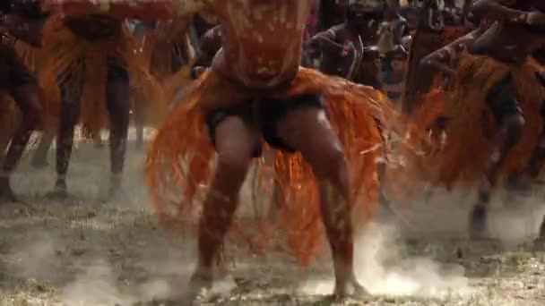 Laura Qld Juli 2023 Aboriginals Ceremoniële Dans Laura Quinkan Dance — Stockvideo