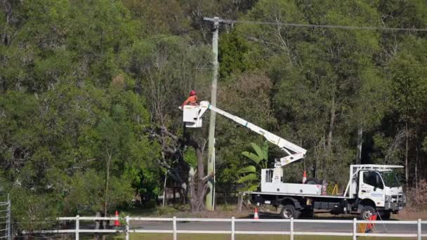 Brisbane Qld Sep 2023 Bezpieczeństwo Energetyczne Przepustnica Elektryczna Drzewa Krzewy — Wideo stockowe