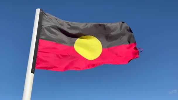 Bandera Aborigen Australiana Australia Primer Pueblo Ondeando Sobre Fondo Azul — Vídeo de stock