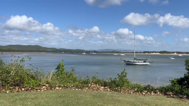 Paisaje Desembocadura Del Río Endeavour Cooktown Cape York Queensland Australia — Vídeo de stock