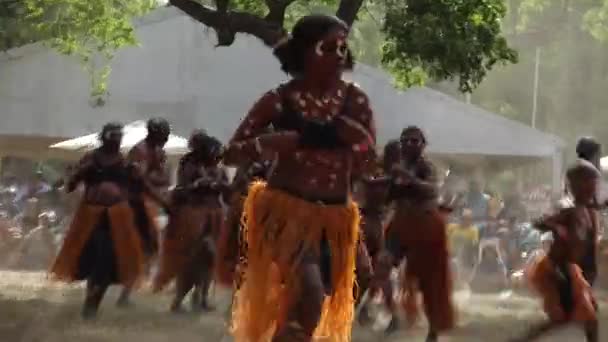 Laura Qld Temmuz 2023 Laura Quinkan Dans Festivali Cape York — Stok video