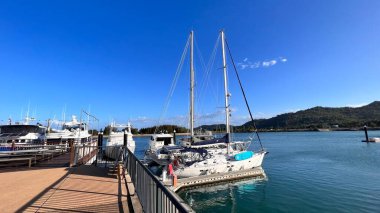 MAGNETIC ISLAND, QLD - AUG 06 2023: Queensland, Avustralya 'daki Townsville kenti yakınlarında popüler bir varış noktası olan Magnetic Island marinasında yelkenliler.