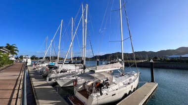 MAGNETIC ISLAND, QLD - AUG 06 2023: Queensland, Avustralya 'daki Townsville kenti yakınlarında popüler bir varış noktası olan Magnetic Island marinasında yelkenliler.