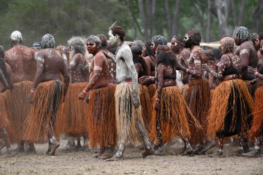 LAURA, QLD - 08 Temmuz 2023: Laura Quinkan Dans Festivali Cape York Avustralya 'da yerli erkekler tören dansında. Törenler dans, şarkı, ritüeller, vücut dekorasyonları ve kostümleri birleştirir