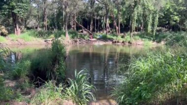 Queensland Avustralya 'daki Bunya Dağları Ulusal Parkı' nda eğlenen tanınmamış genç Avustralyalılar.