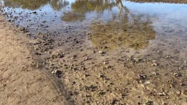  King Island Wellington Point Brisbane Queensland Avustralya manzarası