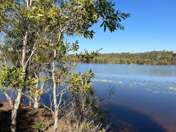 stock image Landscape view of Tingalpa Reservoir, Burbank QLD, Australia.