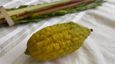 Dört tür etrog, lulav, hadass ve aravah olmak üzere dört bitki türünün Yahudi bayramı olan Sukkot 'la ilgisi bulunmaktadır..