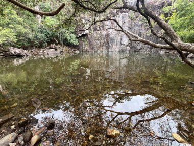 Avustralya 'nın Queensland bölgesindeki Cedar Creek Şelalesi manzarası.
