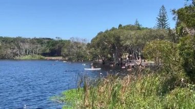 LENNOX HEAD, NSW - 22 Ocak 2025: Ainsworth Gölü, çevreleyen kağıt kabuğu treesa koyu tanenleriyle bir tatlı su ağacı gölü. Lennox 'un hem baş sakinleri hem de ziyaretçileri arasında popüler bir yerdir.. 