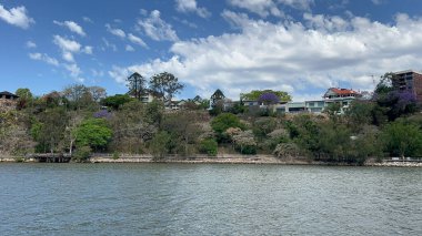 Kanguru Point Park Brisbane City Queensland Avustralya manzarası