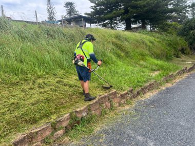 YAMBA, NSW - 23 DEC 2024: Avustralya çim biçme makinesi erkek işçi açık havada çalışıyor. Otlaklar Dünya 'yı kaplayan bitki örtüsünün% 20' den fazlasını oluşturuyor