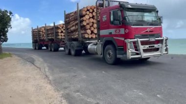 KAITAIA, NZL - 10 Şubat 2025: Büyük tomruk kamyonu kütük taşıyor. Yeni Zelanda 'nın kereste ihracatı için Çin' e olan bağımlılığı, orman ve kereste endüstrisindeki son krizde önemli bir faktör olmuştur.