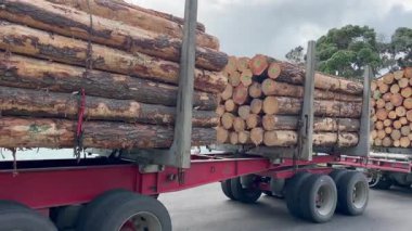 KAITAIA, NZL - 10 Şubat 2025: Büyük tomruk kamyonu kütük taşıyor. Yeni Zelanda 'nın kereste ihracatı için Çin' e olan bağımlılığı, orman ve kereste endüstrisindeki son krizde önemli bir faktör olmuştur.